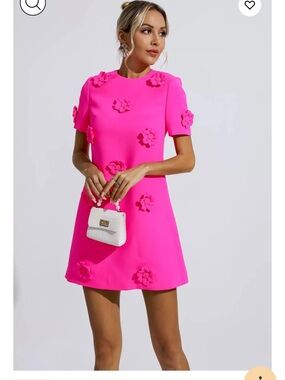 Catchall Alison Pink Jacquard Floral Mini Dress size L